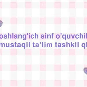 Boshlang'ich sinf o'quvchilariga mustaqil taʼlim tashkil qilish