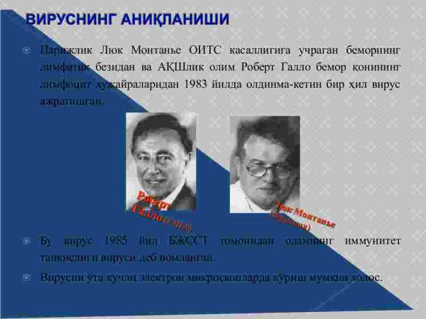 OIV va OITS - Image 3