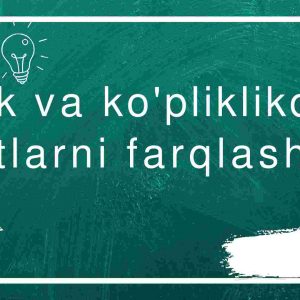 Birlik va ko'pliklikdagi otlarni farqlash