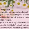 Pedagogik fikrlar va maktablar tarixida oʻqituvchi mahorati masalalari - Image 4