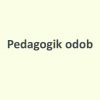 Pedagogik odob