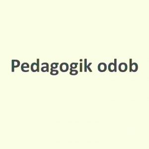 Pedagogik odob