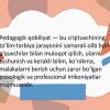 Pedagogik qobiliyatning turlari va ularning tasnifi - Image 2