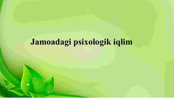 Jamoadagi psixologik iqlim