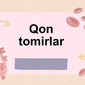 Qon tomirlar