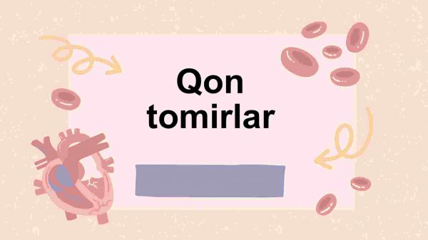 Qon tomirlar