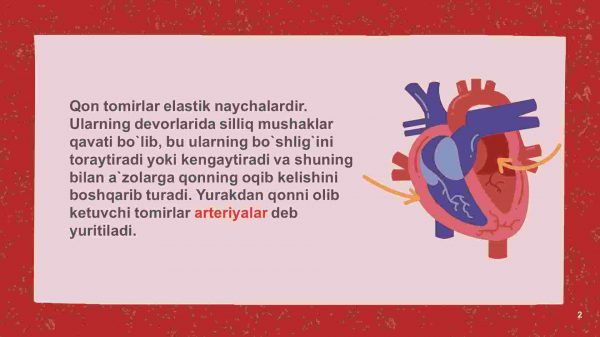 Qon tomirlar - Image 2