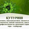Quturish (etiologiyasi, epidemiologiyasi, epizootologiyasi, klinikasi, tashxisoti, qiyosiy tashxisoti, davolash usullari, profilaktikasi va epidemiyaga qarshi ​  chora – tadbirlar)