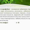Quturish (etiologiyasi, epidemiologiyasi, epizootologiyasi, klinikasi, tashxisoti, qiyosiy tashxisoti, davolash usullari, profilaktikasi va epidemiyaga qarshi ​  chora – tadbirlar) - Image 2