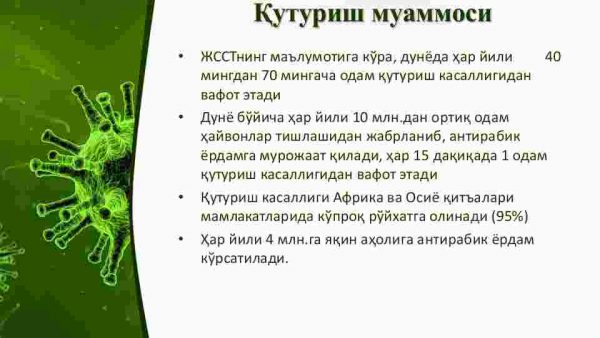 Quturish (etiologiyasi, epidemiologiyasi, epizootologiyasi, klinikasi, tashxisoti, qiyosiy tashxisoti, davolash usullari, profilaktikasi va epidemiyaga qarshi ​  chora – tadbirlar) - Image 3