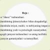 Shaxsning rivojlanishi, tarbiyasi va ijtimoiylashuvi. Yaxlit pedagogik jarayon​ - Image 2