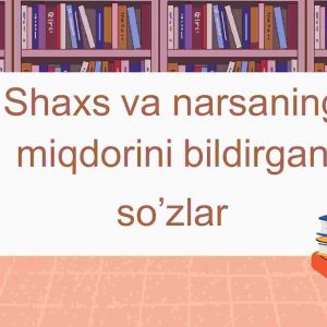 Shaxs va narsaning miqdorini bildirgan​  so’zlar