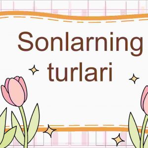 Sonlarning turlari
