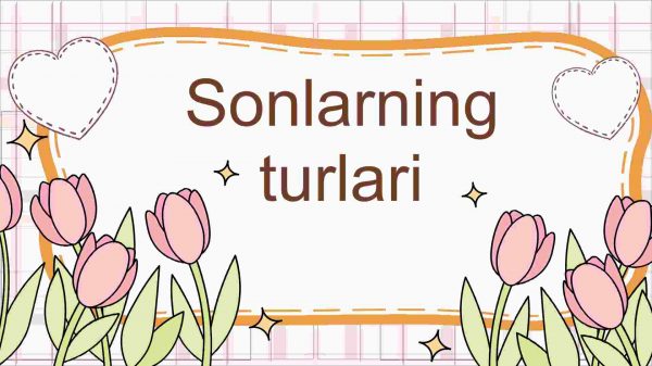 Sonlarning turlari