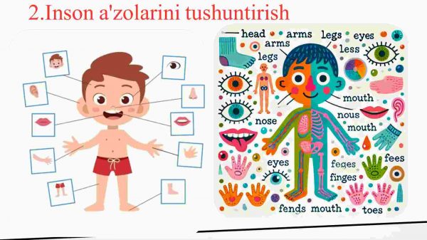 Tabiiy fanlardagi kreativlik - Image 3
