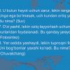 Tabiiy fandagi kreativlik - Image 4