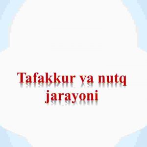 Tafakkur va nutq jarayoni