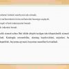 Taksi xizmati va axborot mobil ilovasini ishlab chiqish - Image 4