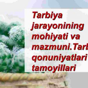 Tarbiya jarayonining mohiyati va mazmuni.Tarbiya qonuniyatlari va tamoyillari​
