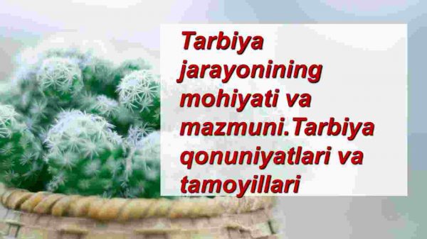 Tarbiya jarayonining mohiyati va mazmuni.Tarbiya qonuniyatlari va tamoyillari​
