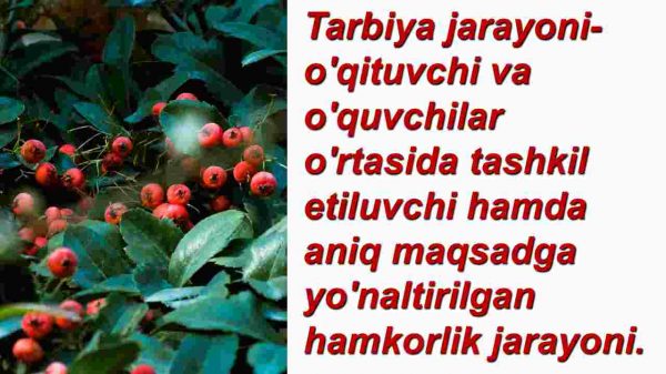 Tarbiya jarayonining mohiyati va mazmuni.Tarbiya qonuniyatlari va tamoyillari​ - Image 3