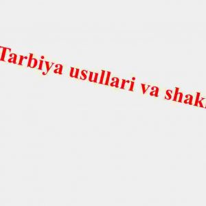 Tarbiya usullari va shakillari