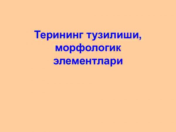 Terining tuzilishi, morfologik elementlari