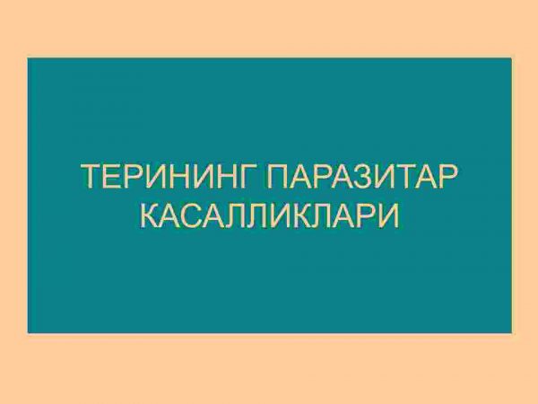 Terining tuzilishi, morfologik elementlari - Image 2