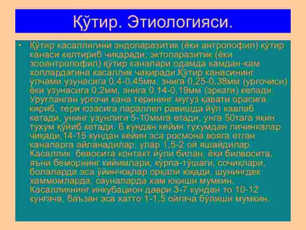 Terining tuzilishi, morfologik elementlari - Image 4