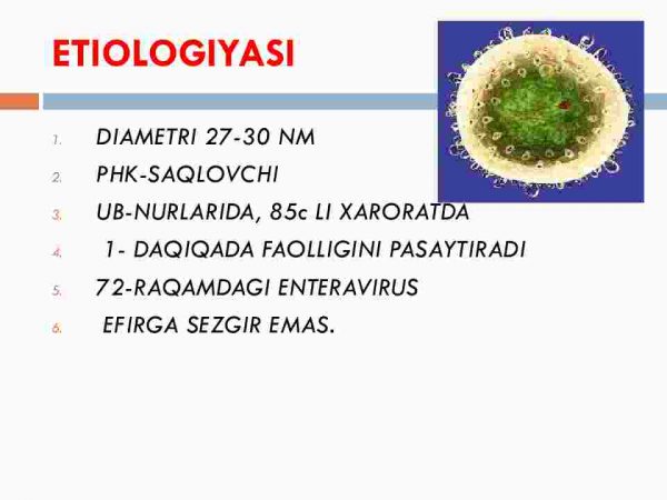 Virusli gepatitlar - Image 4