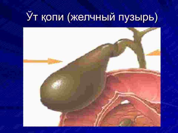 Virusli gapatitlar - Image 4