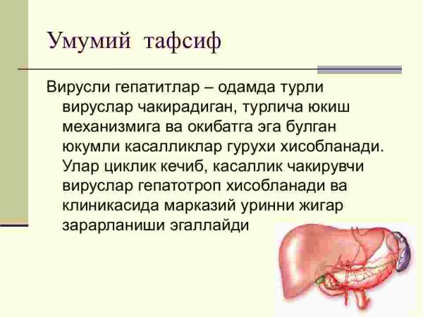 Virusli gepatitlar - Image 2