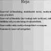 Tasavvuf taʼlimotining Sharq madaniyatiga ta`siri​ - Image 2