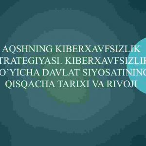 АQShning kiberxavfsizlik strategiyasi. Kiberxavfsizlik bo'yicha davlat siyosatining qisqacha tarixi va rivoji