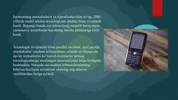 АQShning kiberxavfsizlik strategiyasi. Kiberxavfsizlik bo'yicha davlat siyosatining qisqacha tarixi va rivoji - Image 4