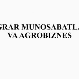 Agrar munosabatlar va agrobiznes