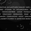 Binar daraxtlar va ular ustida amallar. Binar daraxtga element qo'shish, element o'chirish va qidiruv algoritmlari - Image 2