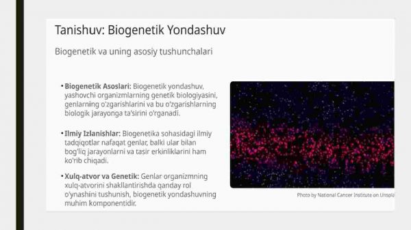 Biogenetik yondashuv - Image 2