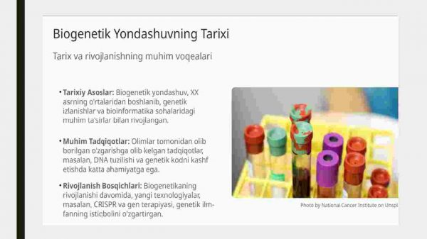 Biogenetik yondashuv - Image 3