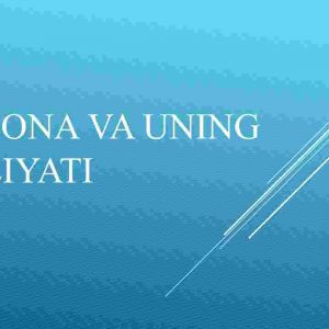 Bojxona va uning faoliyati
