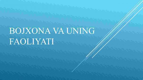 Bojxona va uning faoliyati