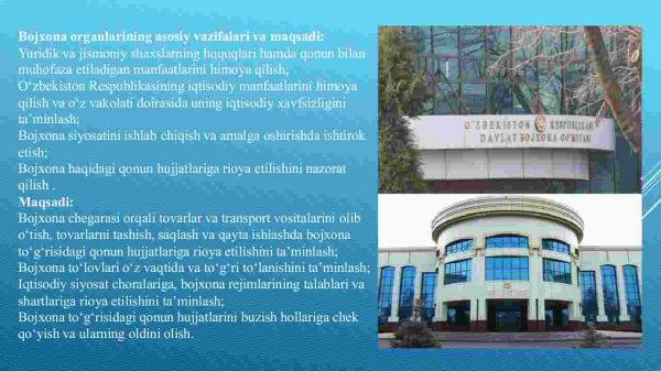Bojxona va uning faoliyati - Image 4