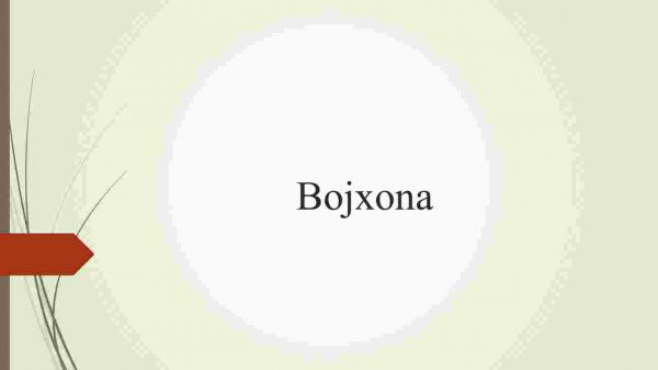 Bojxona