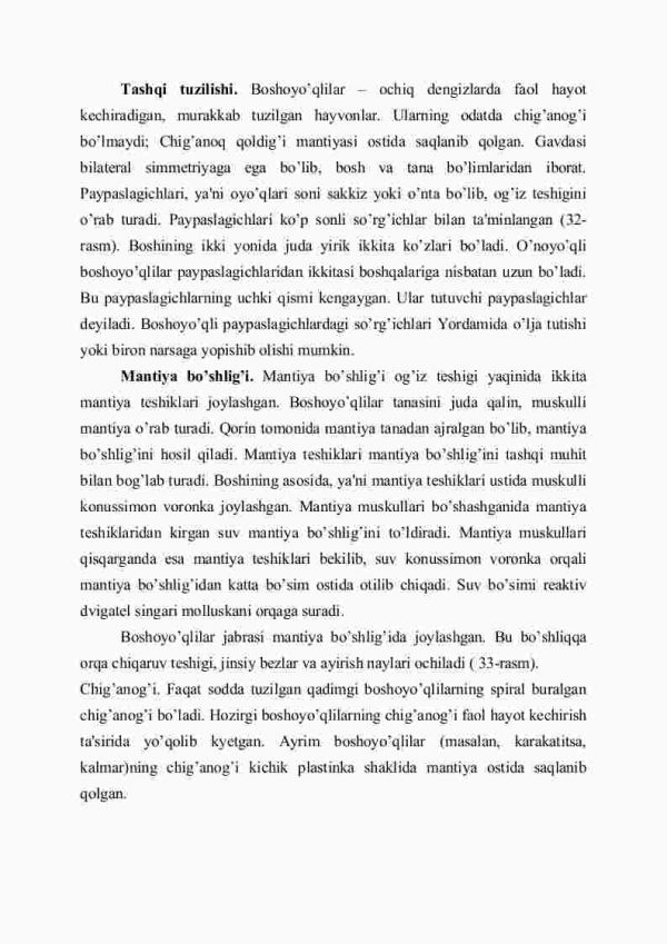 Boshoyoqli molluskallar sinfi - Image 2