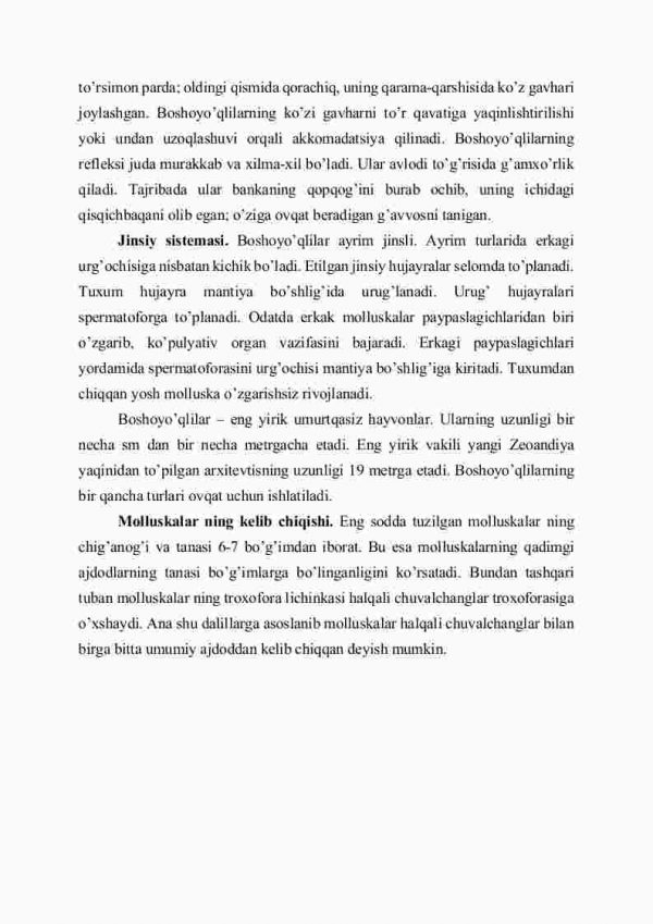 Boshoyoqli molluskallar sinfi - Image 4
