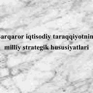 Barqaror iqtisodiy taraqqiyotning milliy strategik xususiyatlari