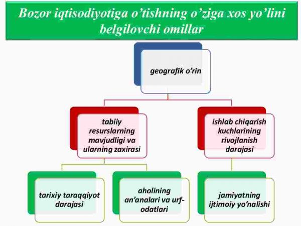 Bozor iqtisodiyotiga o'tish davri. O'zbekistonda bozor iqtisodiyotiga o'tish tamoyillari va xususiyatlari - Image 4