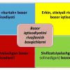 Bozor iqtisodiyoti mazmuni va uning amal qilishi - Image 3