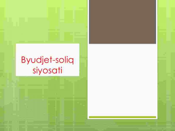 Byudjеt-sоliq siyosаti