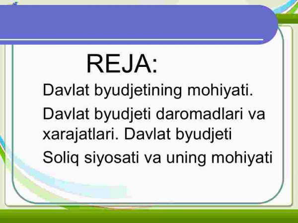 Byudjеt-sоliq siyosаti - Image 2